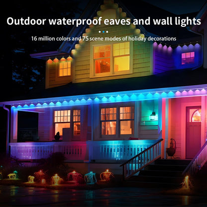 50 FT Permanent Outdoor RGB Lights with 30 LEDs