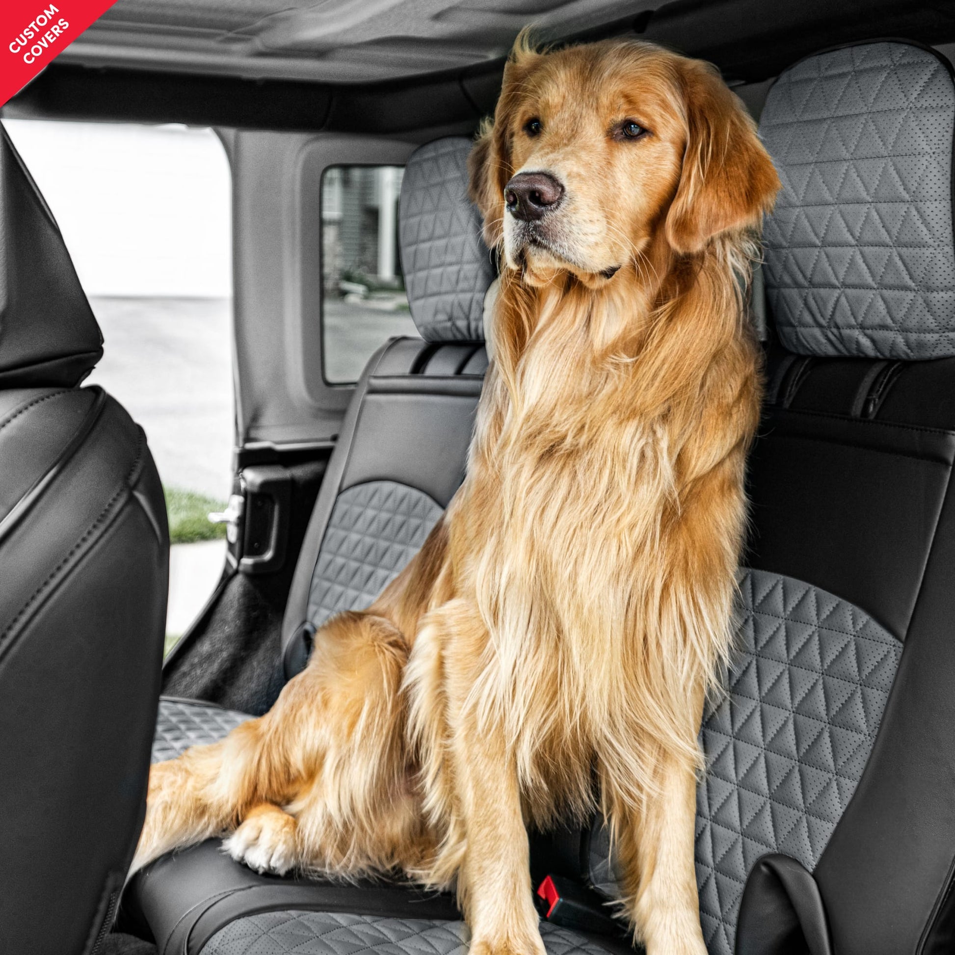 Custom Luxury Seat Covers